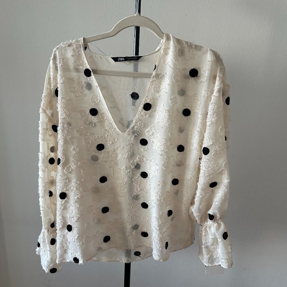 Zara Sheer Long Sleeve Blouse